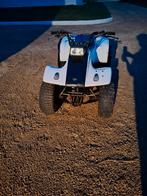 Yamaha breeze 125, 1 cylindre, 125 cm³, Jusqu'à 11 kW