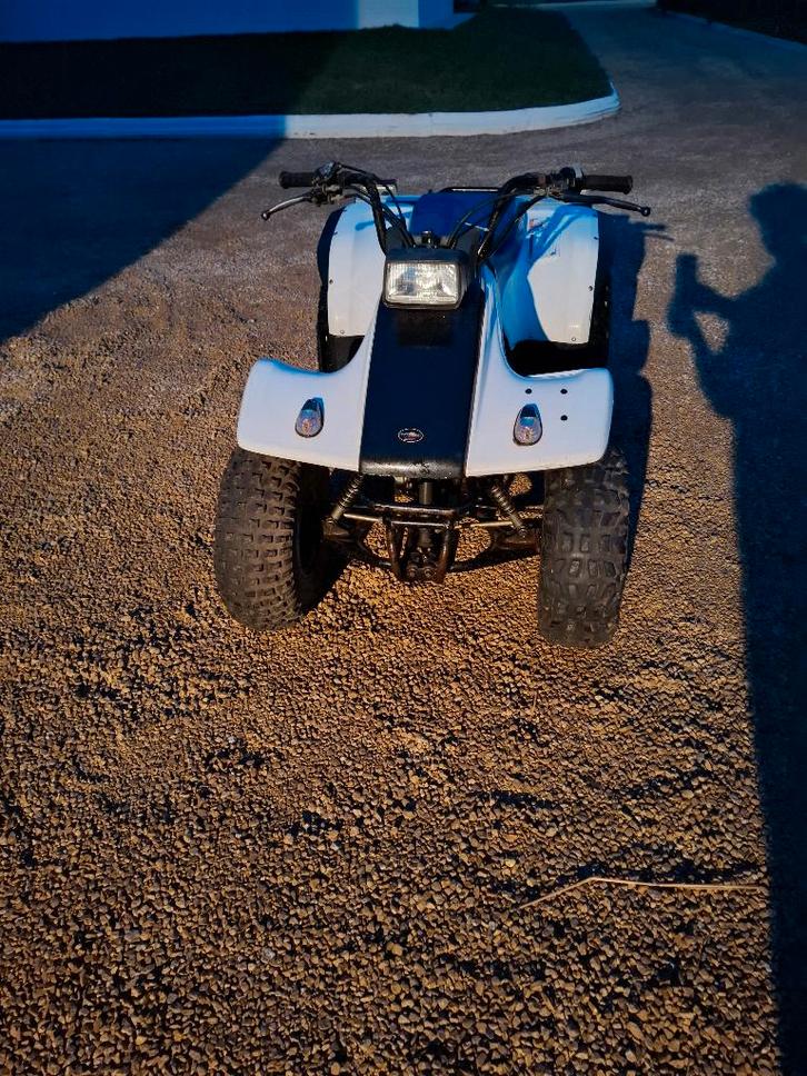 Yamaha breeze 125, Motos, Quads & Trikes, jusqu'à 11 kW, 1 cylindre, Enlèvement