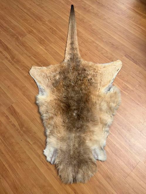 Kangoeroe vacht kangoeroe huid bruin 115/95, Antiek en Kunst, Antiek | Tapijten, Tafelkleden en Textiel, Ophalen of Verzenden