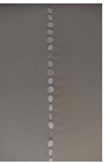 Decoratieslinger capiz schelpen beschikbaar voor biedingen