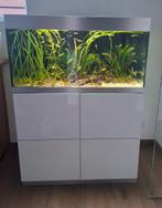 Aquarium Oase HighLine 200, Dieren en Toebehoren, Ophalen, Gebruikt, Gevuld zoetwateraquarium