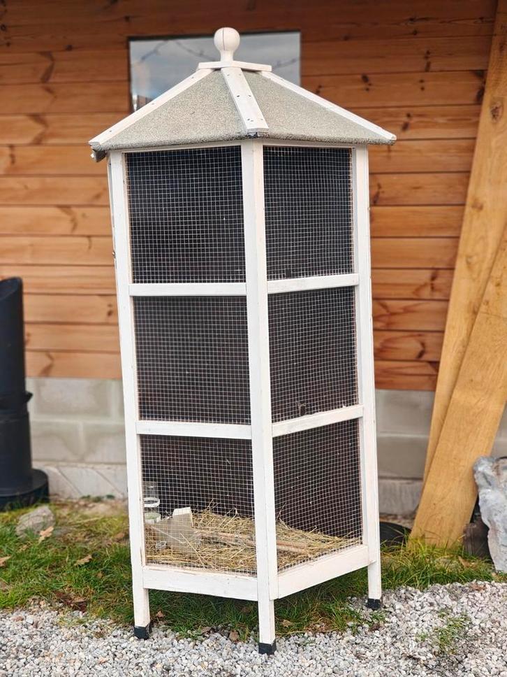 Volière - duivenhok te koop, Dieren en Toebehoren, Vogels | Hokken en Kooien, Gebruikt, Volière, Hout, Ophalen