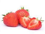 Plants de fraisiers A++, Jardin & Terrasse, Plantes | Jardin, Plein soleil, Enlèvement ou Envoi, Plantes fruitières, Été