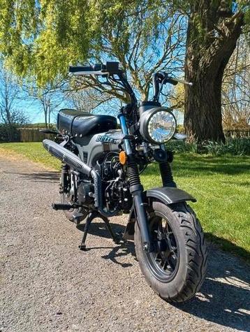 Dax 125 beschikbaar voor biedingen