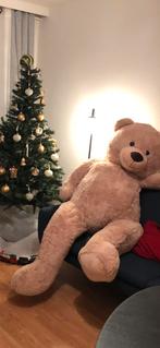 Ours geant, Enlèvement, Neuf