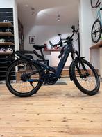 Riese & Muller hommage HS, Enlèvement, Riese & Müller