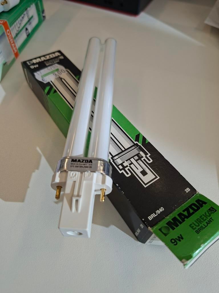 Ampoule G23 9w 600 lumen Mazda, Enlèvement, Neuf, Ampoule