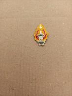 80's flame skull  PIN!!, Ophalen of Verzenden, Zo goed als nieuw