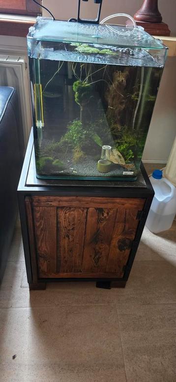 Aquarium Dennerle nano cube 30L met inhoud en toebehoren  beschikbaar voor biedingen