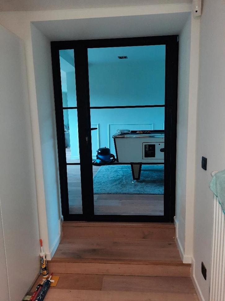 Porte, Doe-het-zelf en Bouw, Raamkozijnen en Schuifdeuren, Nieuw, Overige typen, Metaal, 225 cm of meer, 225 cm of meer, Inclusief glas
