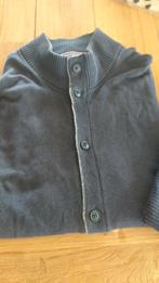 Set van 2 heren gilets tommy hilfiger maat large, Ophalen of Verzenden