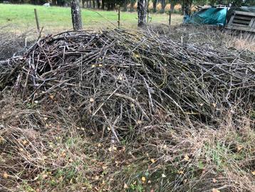 Gratis droog snoeihout wilg beschikbaar voor biedingen