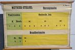 schoolkaart Metriek-stelsel, omvangsmaten, jaren 30/40, Antiek en Kunst, Antiek | Schoolplaten, Ophalen of Verzenden, Aardrijkskunde