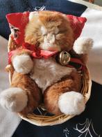 Vieux chat câlin suisse dans le panier, Comme neuf, Enlèvement ou Envoi