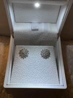 Boucle 14 carat or diamond naturel 38 pieces, Enlèvement ou Envoi, Comme neuf