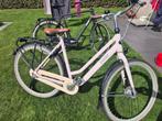 Gazelle Esprit 54, Ophalen, Gebruikt, Gazelle