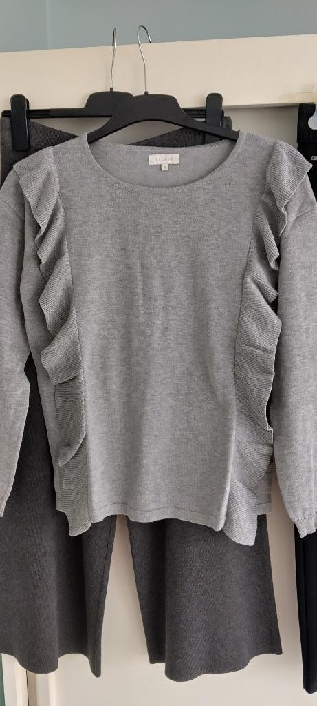 truitje bel & bo /mt 40/zgan, Kleding | Dames, Truien en Vesten, Zo goed als nieuw, Maat 38/40 (M), Grijs, Verzenden