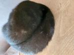Toque en vison, Kleding | Dames, Hoeden en Petten, Ophalen, Gedragen