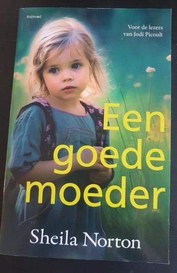 Een goede moeder: Roman van Sheila Norton beschikbaar voor biedingen