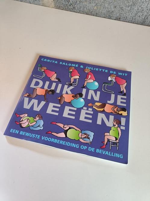 Boek, duik in je weeën, Boeken, Overige Boeken, Gelezen, Ophalen