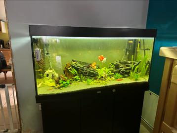 Juwel Aquarium in zeer goede staat. Inclusief inhoud