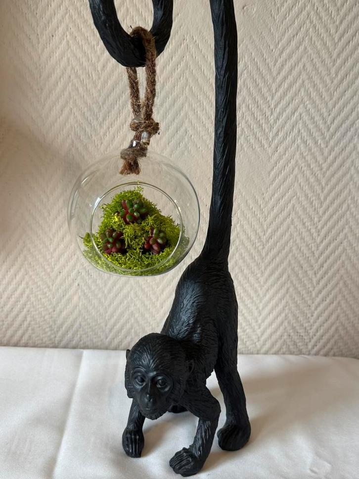 Déco singe suspendu avec boule végétale – 45 cm –, Verzamelen, Beelden en Beeldjes, Zo goed als nieuw, Ophalen