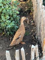 Vrouwelijke loopeenden, Dieren en Toebehoren, Vrouwelijk, Eend