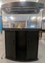 Juwel Vision 180L aquarium met onderkast, Dieren en Toebehoren, Ophalen, Gebruikt, Leeg aquarium