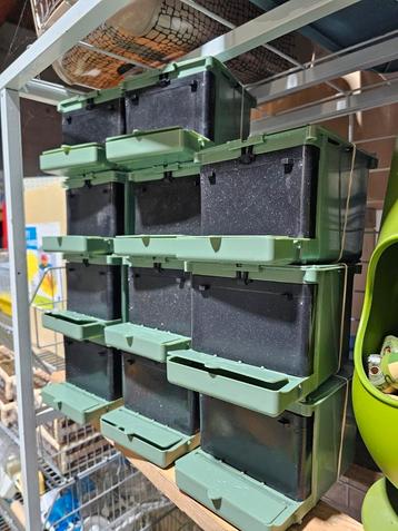 Nest Isabella Exoten - Moldes Ave  beschikbaar voor biedingen