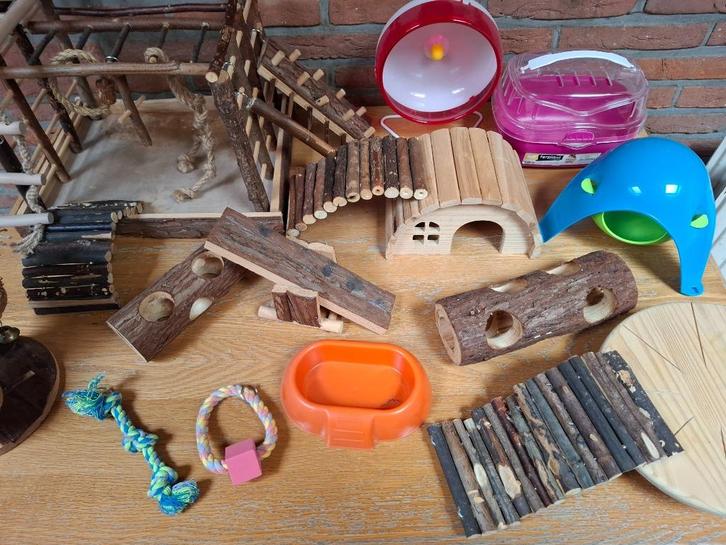 hamsterkooien met veel toebehoren, Dieren en Toebehoren, Knaagdieren en Konijnen | Hokken en Kooien, Zo goed als nieuw, Kooi, Minder dan 60 cm