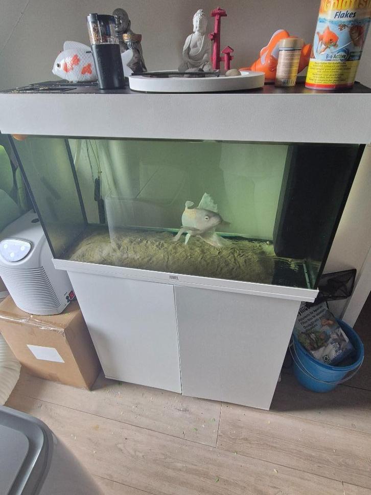A vendre aquarium Juwel Rio 125 Led complet, Dieren en Toebehoren, Vissen | Aquaria en Toebehoren, Zo goed als nieuw, Leeg aquarium