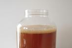 SCOBY voor kombucha, Diversen, Ophalen