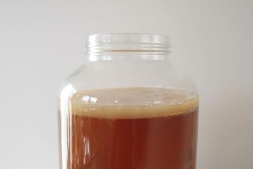 SCOBY voor kombucha, Enlèvement