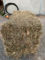 Kleine balletjes hooi te koop verpakt per 12stuks, Animaux & Accessoires, Nourriture pour Animaux, Enlèvement