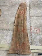 Notelaar Schaaldeel KD, Planche, Autres essences de bois, Enlèvement ou Envoi, 250 à 300 cm