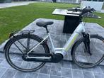Electrische Trek damesfiets 2022 met Bosch middenmotor, Ophalen, Zo goed als nieuw, Overige merken, (Extra) lage instap