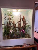 Terrarium en hoekkopagama, Ophalen, Zo goed als nieuw