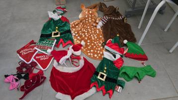 Hondenkleding, Dieren en Toebehoren, Hondenkleding, Ophalen, Zo goed als nieuw, Hondenkostuum