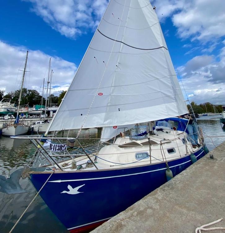 VOILIER, Watersport en Boten, Kajuitzeilboten en Zeiljachten, Gebruikt, Tourjacht of Cruiser, Polyester, 6 tot 9 meter, Diesel