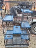 Grote knaakdierenkooi., Dieren en Toebehoren, Ophalen