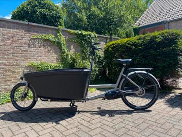 Dolly E-Dolly MaxDrive bakfiets beschikbaar voor biedingen