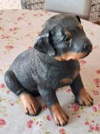 Hond (rottweiler) in polyester, Ophalen