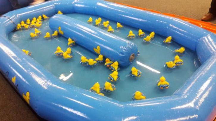 Peche aux canards LOCATION, Hobby en Vrije tijd, Feestartikelen | Verhuur, Zo goed als nieuw, Ophalen