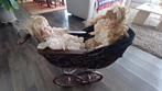 2 antieke poppen in een koets, Dieren en Toebehoren, Rijtuigen en Koetsen, Zo goed als nieuw, Overige typen