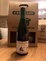 3 flessen Cantillon, Enlèvement ou Envoi, Neuf, Autres marques