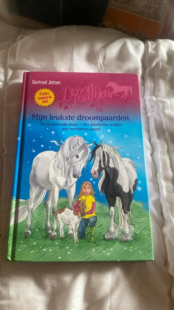 Gertrud Jetten - Mijn leukste droompaarden, Boeken, Kinderboeken | Jeugd | onder 10 jaar, Zo goed als nieuw, Ophalen