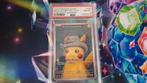 Pikaschu van gogh, Hobby en Vrije tijd, Ophalen