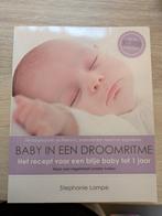 Boek Baby in een droomritme, Boeken, Ophalen, Zo goed als nieuw, Opvoeding tot 6 jaar