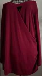 Mayerline 4L (48/50) charmante blouse met detail, Mayerline, Overige kleuren, Blouse of Tuniek, Nieuw