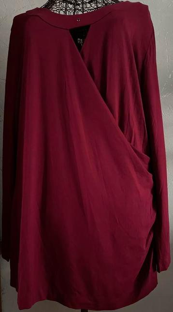 Mayerline 4L (48/50) charmante blouse met detail beschikbaar voor biedingen